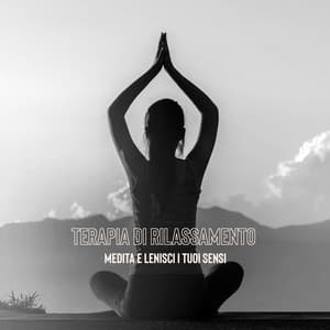 Terapia di rilassamento - Medita e lenisci i tuoi sensi: Yoga e zen new age suoni di benessere - Buddha Musica Santuario