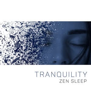 Tranquility Zen Sleep - Healing Sounds, Relaxing Soothing Tunes, Deep Sleep, Inner Balance & Harmony - Deep Sleep Sanctuary