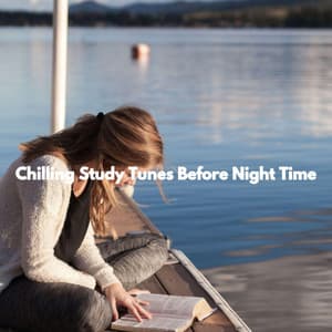 Chilling Study Tunes Before Night Time - New York Jazz Trio