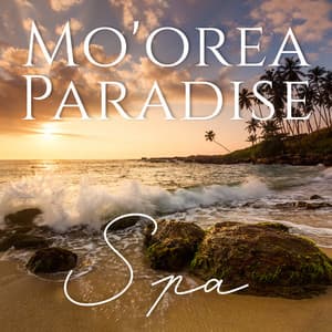 Mo'orea Paradise Spa: Relaxing Hang Drum, Oceanic Meditation, Exotic Calmness - Hang Drum Pro