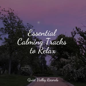 Essential Calming Tracks to Relax - 125 Nature Sounds