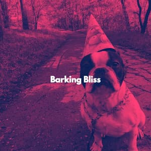Barking Bliss - Cafeteria Musica de lujo