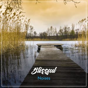 #10 Ruidos Felices para Proveer Atención - Música para Relajarse Profundamente