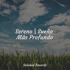 Sereno | Sueño Más Profundo - Academia de Música con Sonidos de la Naturaleza