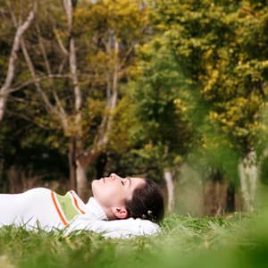 Soothing Delta Waves Haven: Tranquil Bird Song Relaxation Symphony - Birds of Sweden