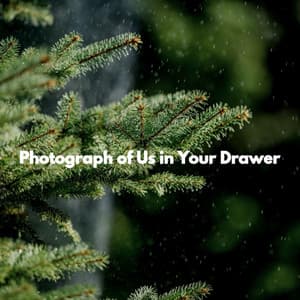 Photograph of Us in Your Drawer - Instrumental Jazz Trio New York