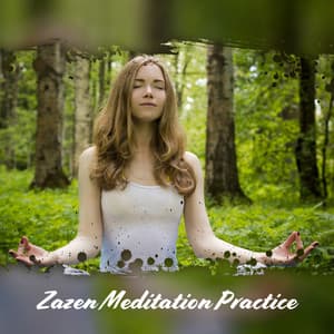 Zazen Meditation Practice: Asian Meditation Music with Sounds of Nature for Seeking Enlightenment - Robin Gardner