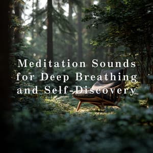 Meditation Sounds for Deep Breathing and Self-Discovery - Relax α Wave