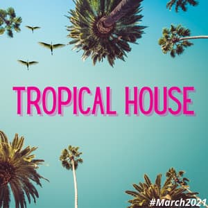Tropical House - Francesco Digilio