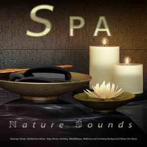 Spa: Spa Music and Nature Sounds For Spa, Massage Music, Meditation Music, Yoga Music, Healing, Mindfulness, Wellness and Soothing Background Music For Sleep and Spa Playlist - Spa