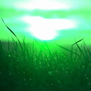 Stellar Acoustic and Electric Piano Jazz Duo - Bgm for Pure Moments - Musica de Piano Clásicos