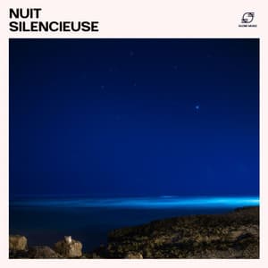 Nuit Silencieuse - Le Sommeil
