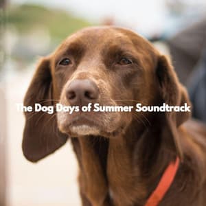 The Dog Days of Summer Soundtrack - Musica para Perros