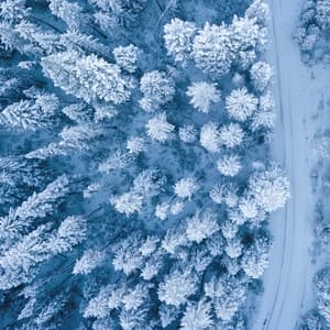 Bruit blanc Sons de la nature Sommeil de bébé - Bruit Brun