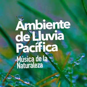 Ambiente de Lluvia Pacífica - Música de la Naturaleza