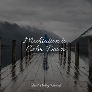 Meditation to Calm Down - Master Meditação