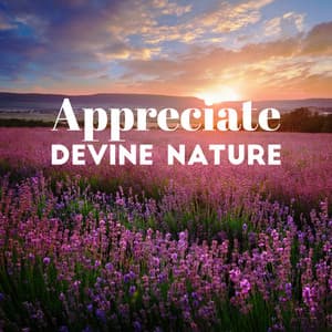 Appreciate Devine Nature: Mental and Physical Healing with Nature Sounds - Nature Meditation Academy