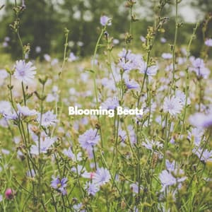 Blooming Beats - Bossa Nova Radio