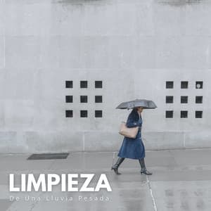 Limpieza De Una Lluvia Pesada - Sonidos de lluvia pesada