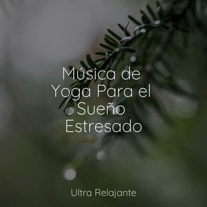 Música de Yoga Para el Sueño Estresado - Canciones de Cuna Relax