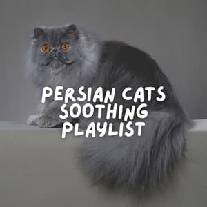 Persian Cats Soothing Playlist - Music For Cats