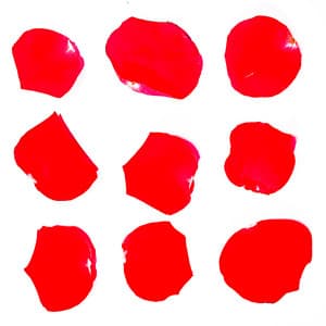 Nine variations on good thoughts - Georg Buljo