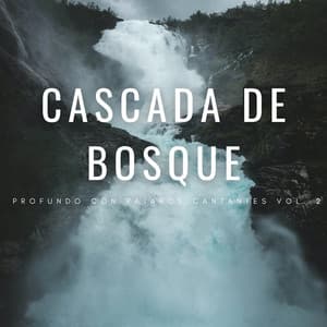 Cascada De Bosque Profundo Con Pájaros Cantantes Vol. 2 - Natureza Relaxante