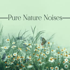 Pure Nature Noises - Exotic Nature Kingdom