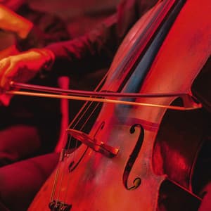 Orchestra for Meditation: Serene Sounds - Valborg Shamsuddin