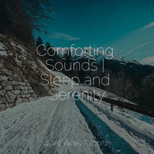 Comforting Sounds | Sleep and Serenity - Kings of Nature