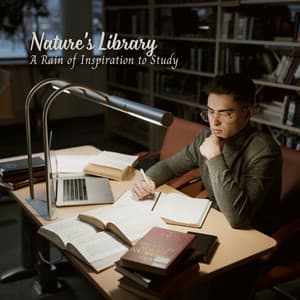 Nature's Library: A Rain of Inspiration to Study - Rainfall