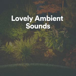 Lovely Ambient Sounds - Ambientalism