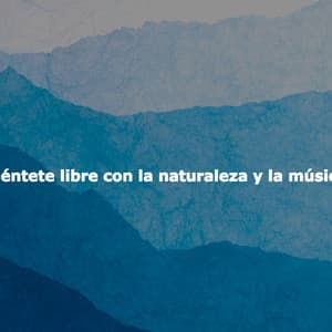 Siéntete libre con la naturaleza y la música - Modern Jazz