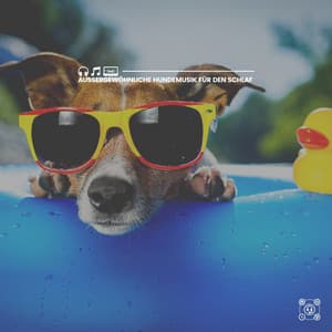 Außergewöhnliche Hundemusik für den Schlaf - Hundemusik
