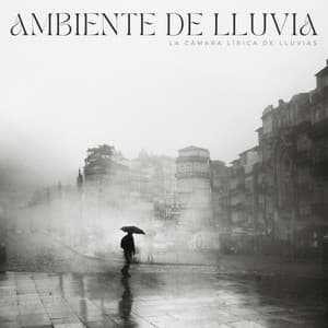Ambiente De Lluvia: La Cámara Lírica De Lluvias - Sonidos de la Naturaleza Ruido