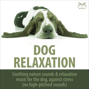 Dog Relaxation - Soothing Nature Sounds & Relaxation Music for the Dog, Against Stress - Dog Music TA