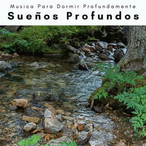 2022 Sueños Profundos - Musica Para Dormir Profundamente