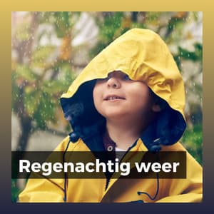 Regenachtig weer - Geluiden van de Regen