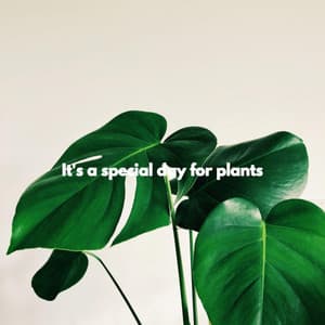 It's a special day for plants - Coffee Shop Jazz Relax