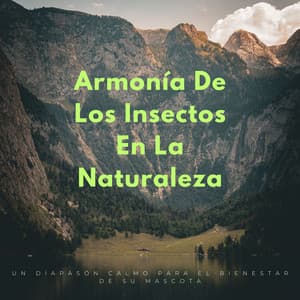 Armonía De Los Insectos En La Naturaleza: Un Diapasón Calmo Para El Bienestar De Su Mascota - Grabaciones de la naturaleza LBE