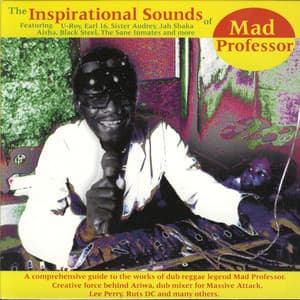 The Inspirational Sounds Of Mad Professor - Mad Professor