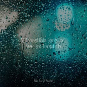 50 Focused Rain Sounds for Sleep and Tranquility - Rising Higher Meditation