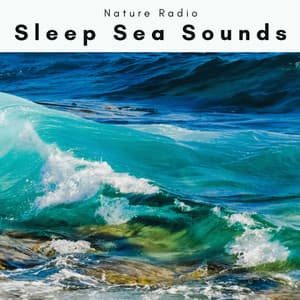 Sleep Sea Sounds - Nature Radio 1