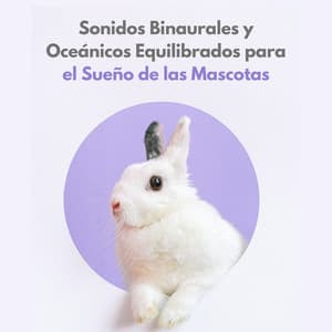 Sonidos Binaurales Y Oceánicos Equilibrados Para El Sueño De Las Mascotas - Olas Glaciares