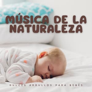 Música de la Naturaleza: Dulces Arrullos para Bebés - Sonidos de la Naturaleza Ruido