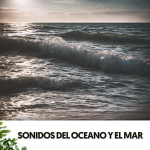 Sonidos del Oceano y el Mar: Melodias del agua y roca - Dog Relaxation