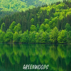 ! ! ! ! ! ! Greenwoods ! ! ! ! ! ! - Forest Sounds
