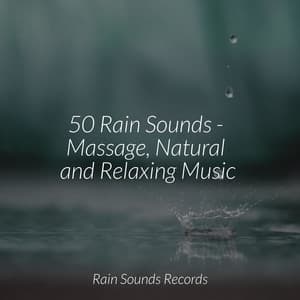 50 Rain Sounds - Massage, Natural and Relaxing Music - Nature Sounds
