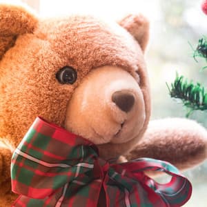 Silvery Cascade Rhythms - Arctic Comfort