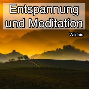 Entspannung und Meditation - Wildnis - Ambient Sound Collective